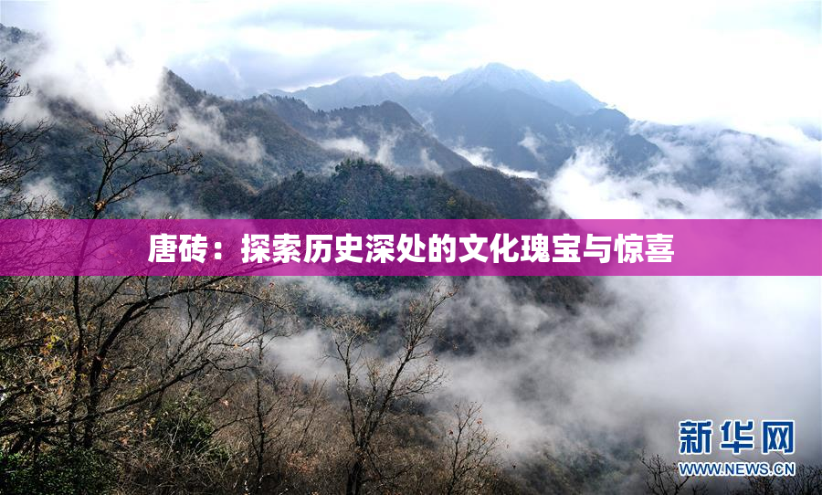 唐砖：探索历史深处的文化瑰宝与惊喜