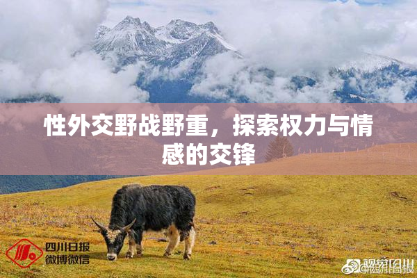 性外交野战野重，探索权力与情感的交锋