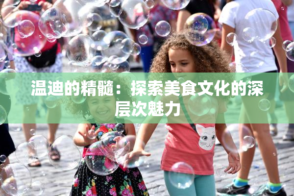 温迪的精髓：探索美食文化的深层次魅力