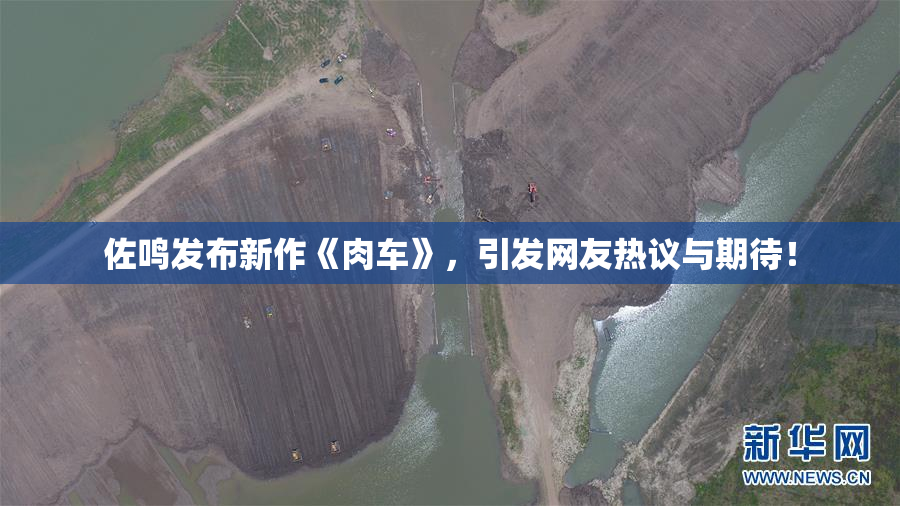 佐鸣发布新作《肉车》，引发网友热议与期待！