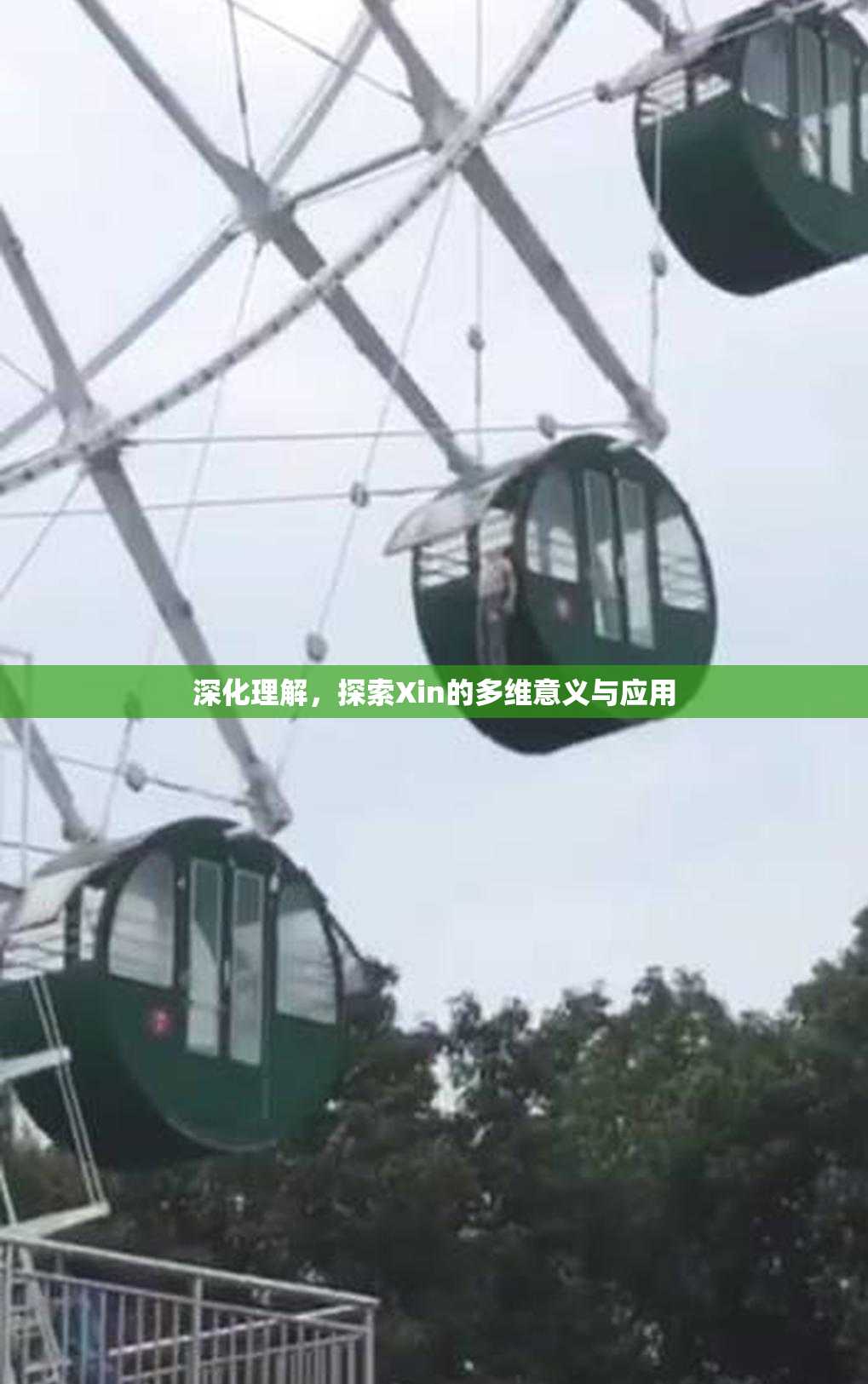 深化理解，探索Xin的多维意义与应用
