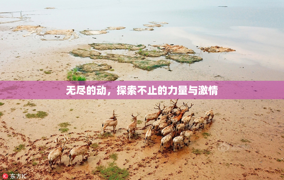 无尽的动，探索不止的力量与激情