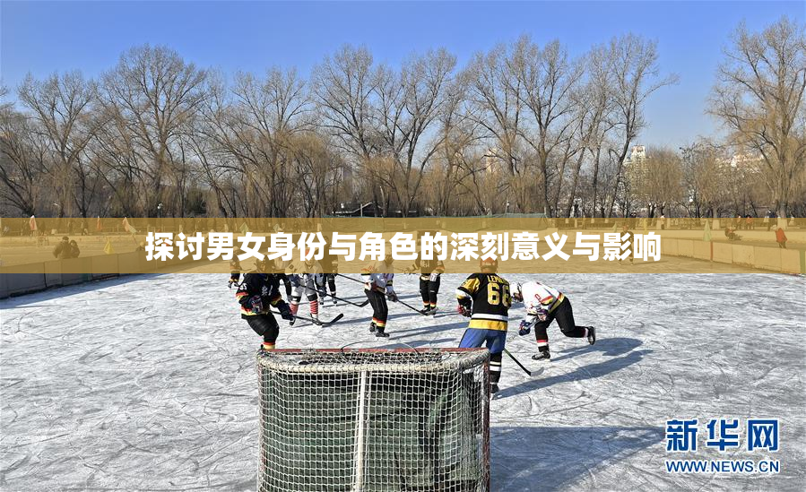 探讨男女身份与角色的深刻意义与影响