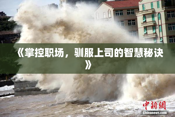 《掌控职场，驯服上司的智慧秘诀》