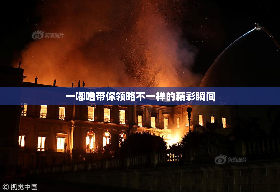 一嘟噜带你领略不一样的精彩瞬间