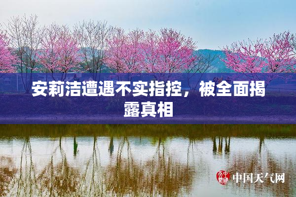 安莉洁遭遇不实指控，被全面揭露真相