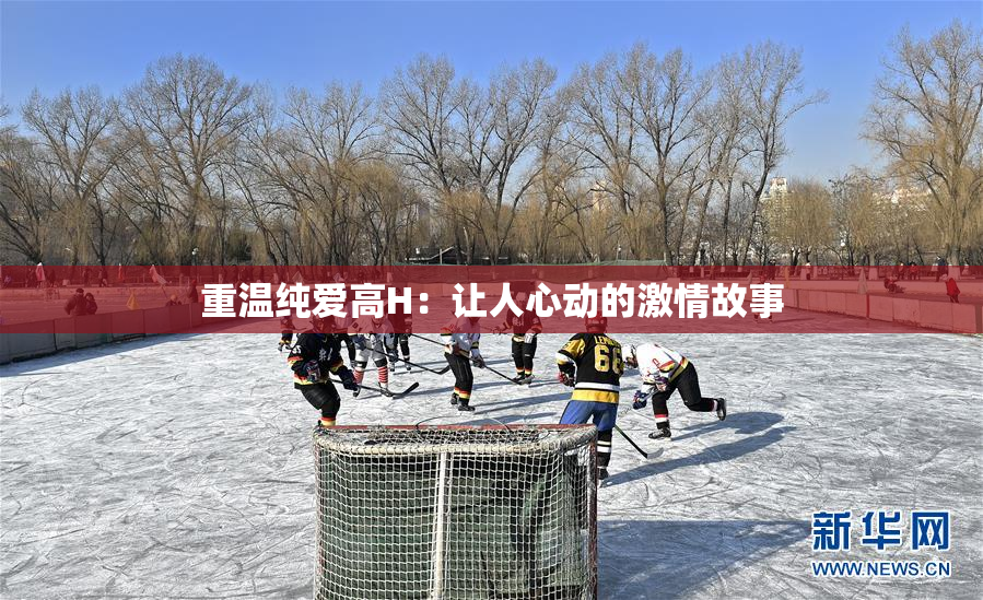 重温纯爱高H：让人心动的激情故事