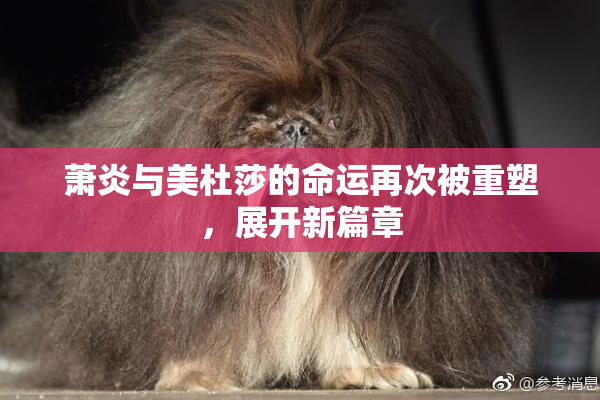萧炎与美杜莎的命运再次被重塑，展开新篇章