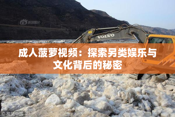 成人菠萝视频：探索另类娱乐与文化背后的秘密