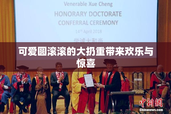 可爱圆滚滚的大扔重带来欢乐与惊喜