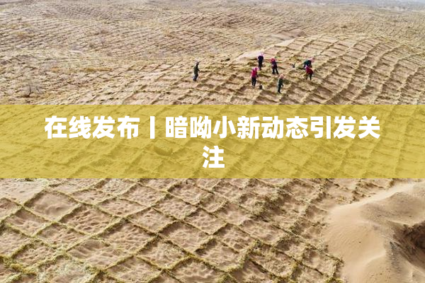 在线发布丨暗呦小新动态引发关注