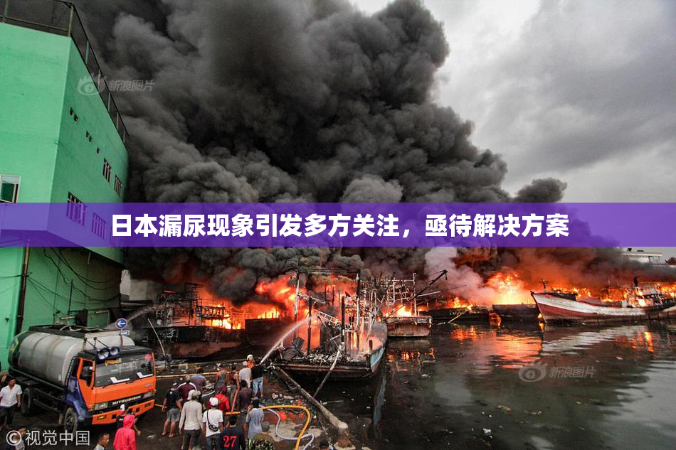 日本漏尿现象引发多方关注，亟待解决方案