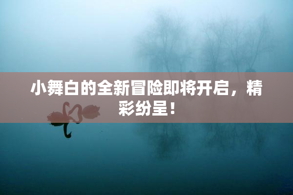 小舞白的全新冒险即将开启，精彩纷呈！