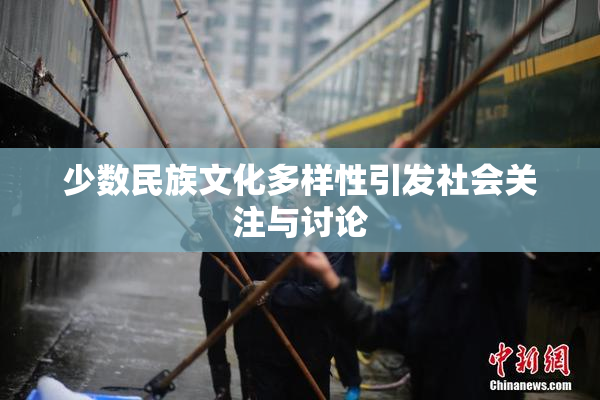少数民族文化多样性引发社会关注与讨论
