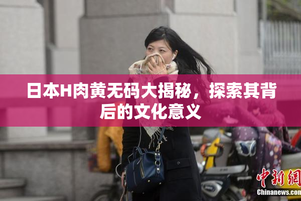 日本H肉黄无码大揭秘，探索其背后的文化意义
