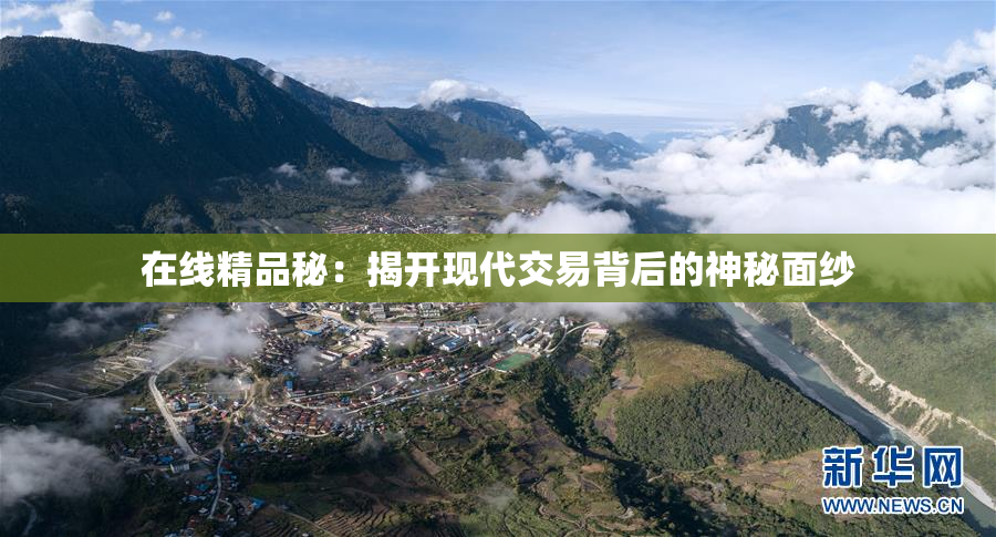 在线精品秘：揭开现代交易背后的神秘面纱