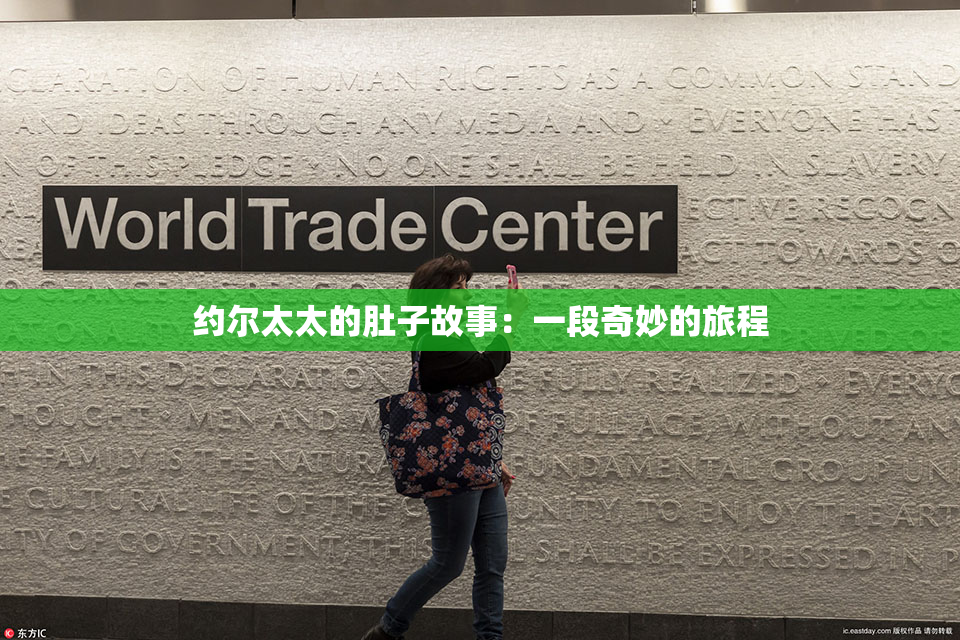约尔太太的肚子故事：一段奇妙的旅程