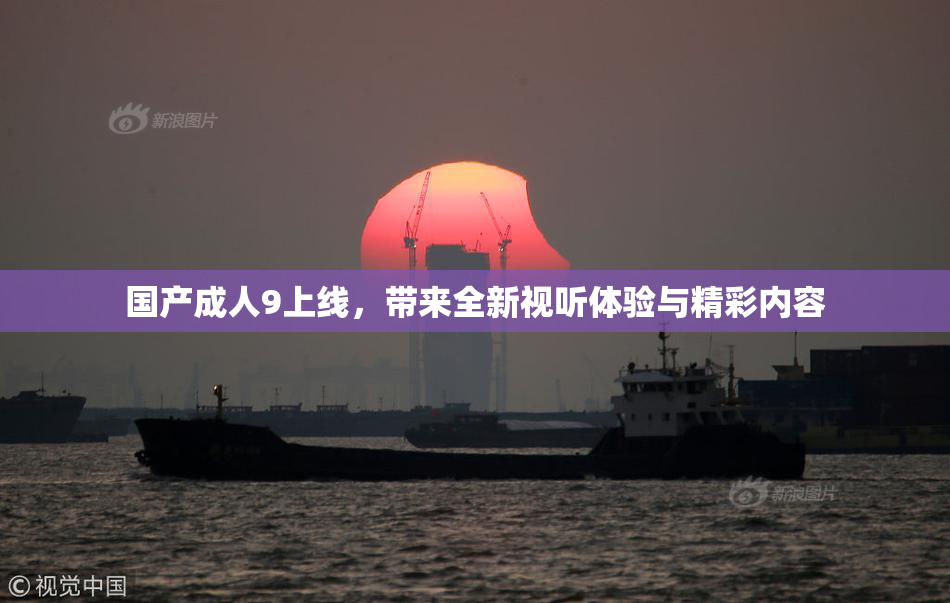 国产成人9上线，带来全新视听体验与精彩内容