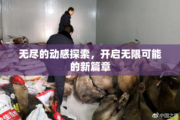 无尽的动感探索，开启无限可能的新篇章