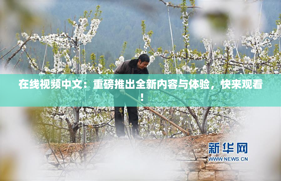在线视频中文：重磅推出全新内容与体验，快来观看！