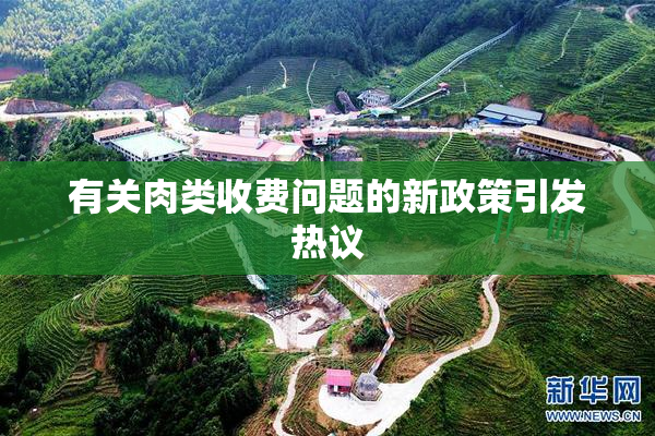 有关肉类收费问题的新政策引发热议