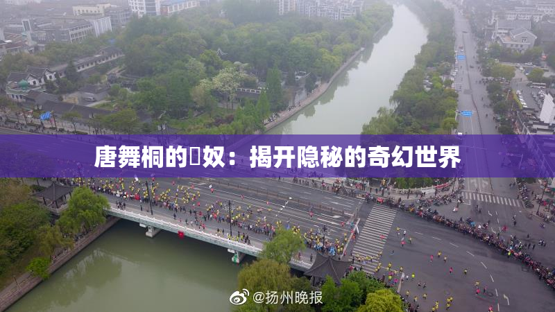 唐舞桐的婬奴：揭开隐秘的奇幻世界