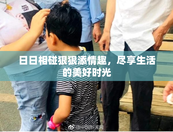 日日相碰狠狠添情趣，尽享生活的美好时光