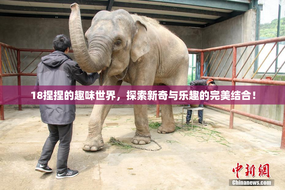 18捏捏的趣味世界，探索新奇与乐趣的完美结合！