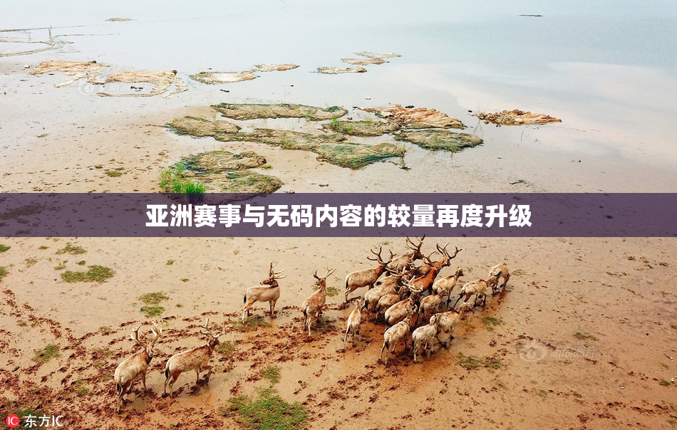 亚洲赛事与无码内容的较量再度升级