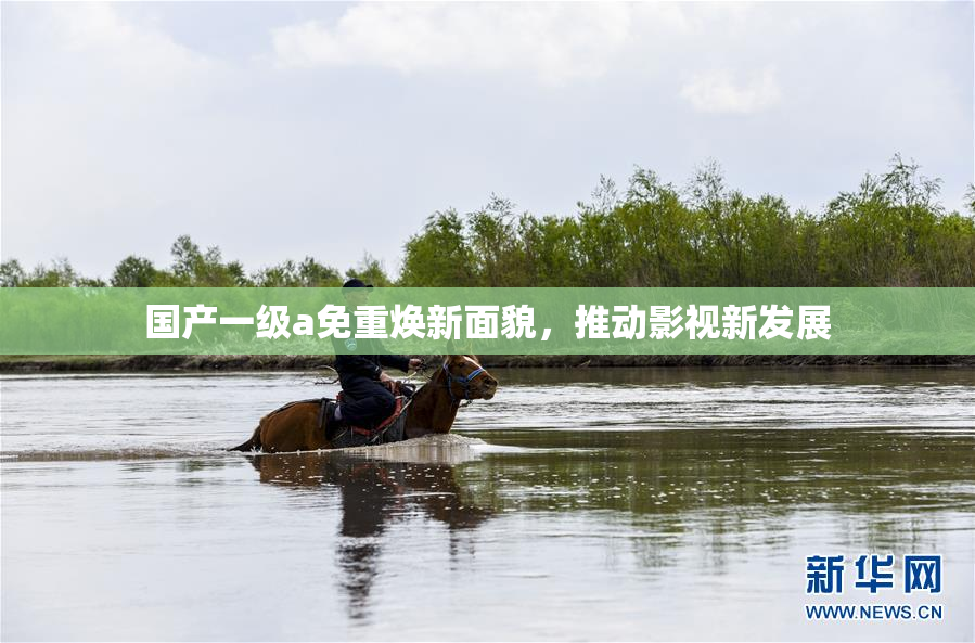 国产一级a免重焕新面貌，推动影视新发展