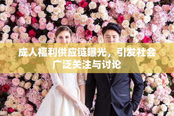 成人福利供应链曝光，引发社会广泛关注与讨论