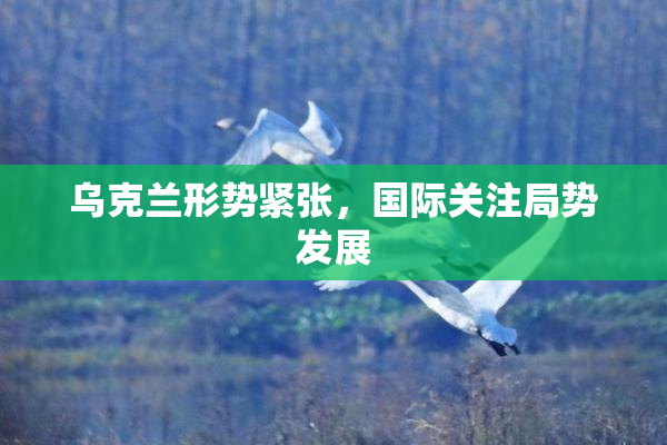 乌克兰形势紧张，国际关注局势发展