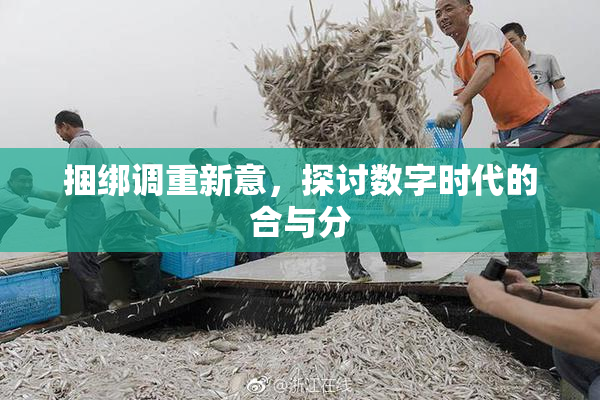 捆绑调重新意，探讨数字时代的合与分