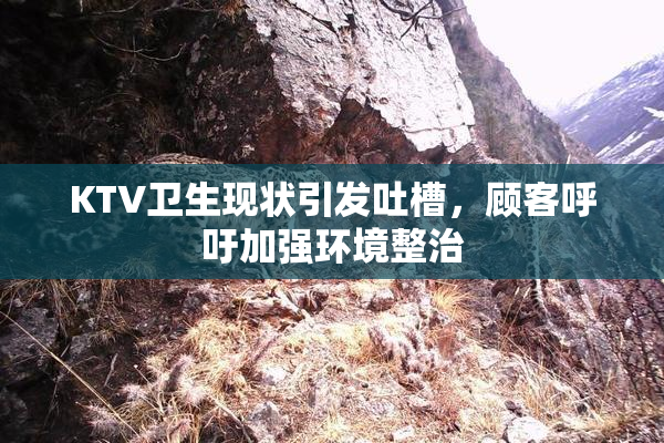 KTV卫生现状引发吐槽，顾客呼吁加强环境整治