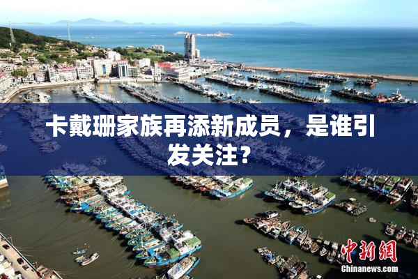 卡戴珊家族再添新成员，是谁引发关注？