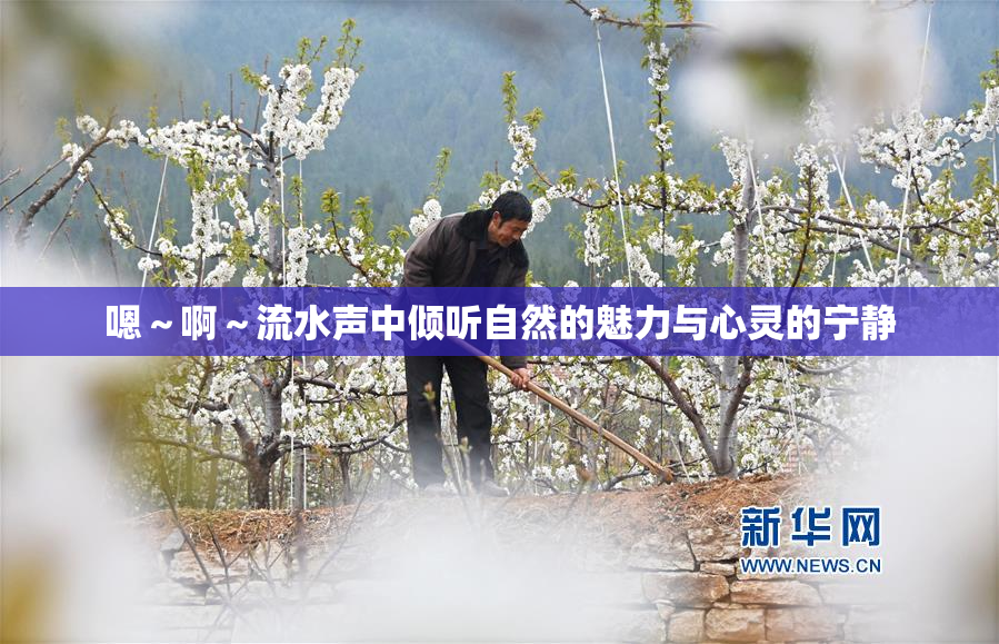 嗯～啊～流水声中倾听自然的魅力与心灵的宁静