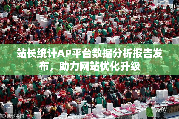 站长统计AP平台数据分析报告发布，助力网站优化升级