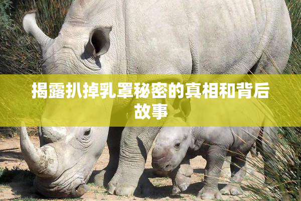 揭露扒掉乳罩秘密的真相和背后故事