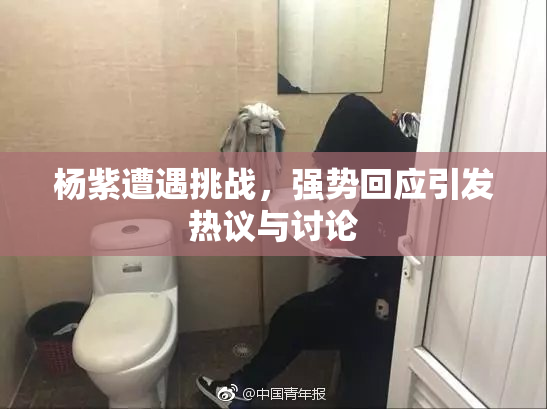 杨紫遭遇挑战，强势回应引发热议与讨论