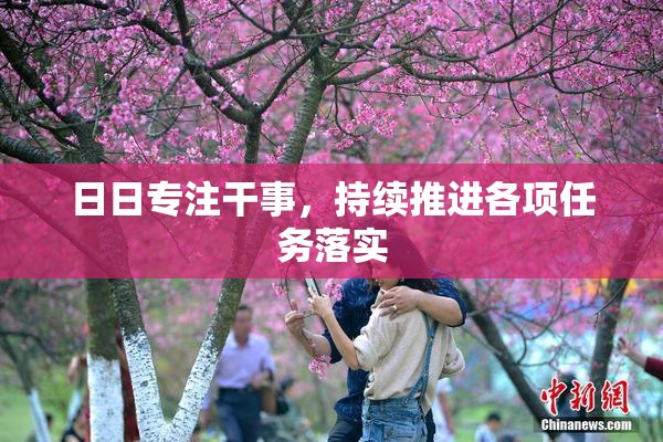 日日专注干事，持续推进各项任务落实