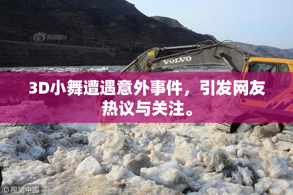 3D小舞遭遇意外事件，引发网友热议与关注。