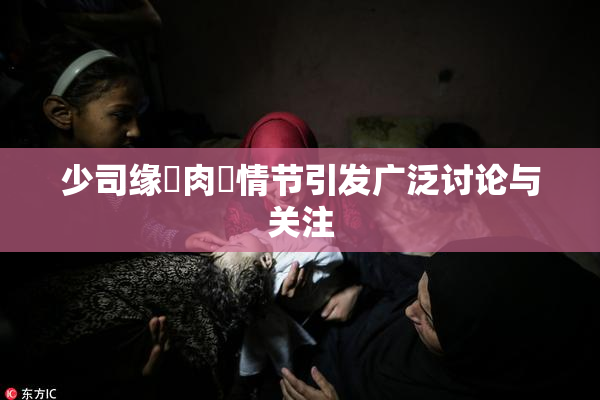少司缘婬肉泬情节引发广泛讨论与关注