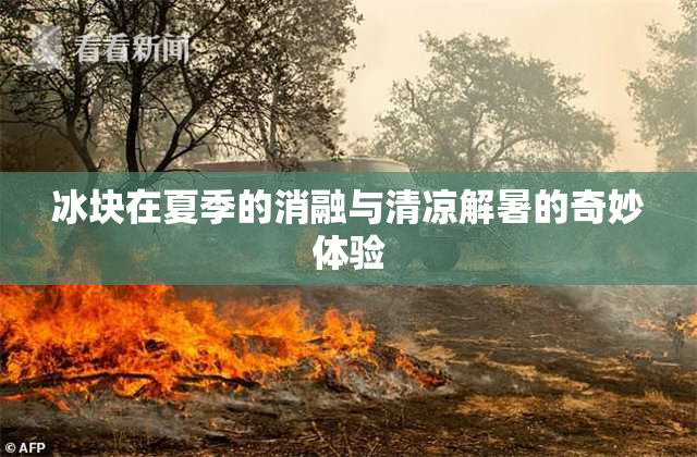 冰块在夏季的消融与清凉解暑的奇妙体验