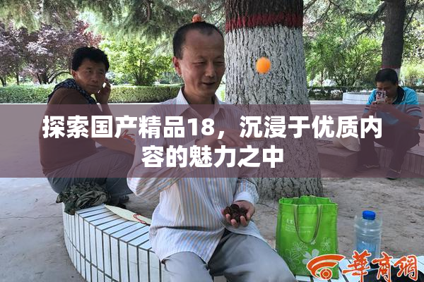 探索国产精品18，沉浸于优质内容的魅力之中