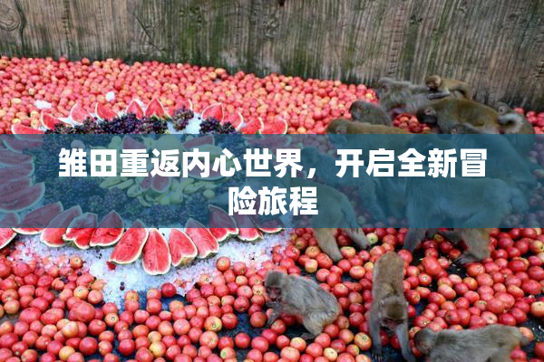 雏田重返内心世界，开启全新冒险旅程