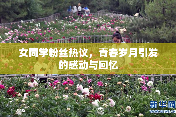 女同学粉丝热议，青春岁月引发的感动与回忆
