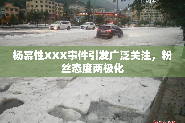 杨幂性XXX事件引发广泛关注，粉丝态度两极化