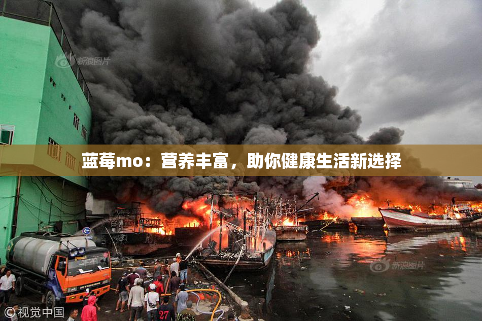 蓝莓mo：营养丰富，助你健康生活新选择