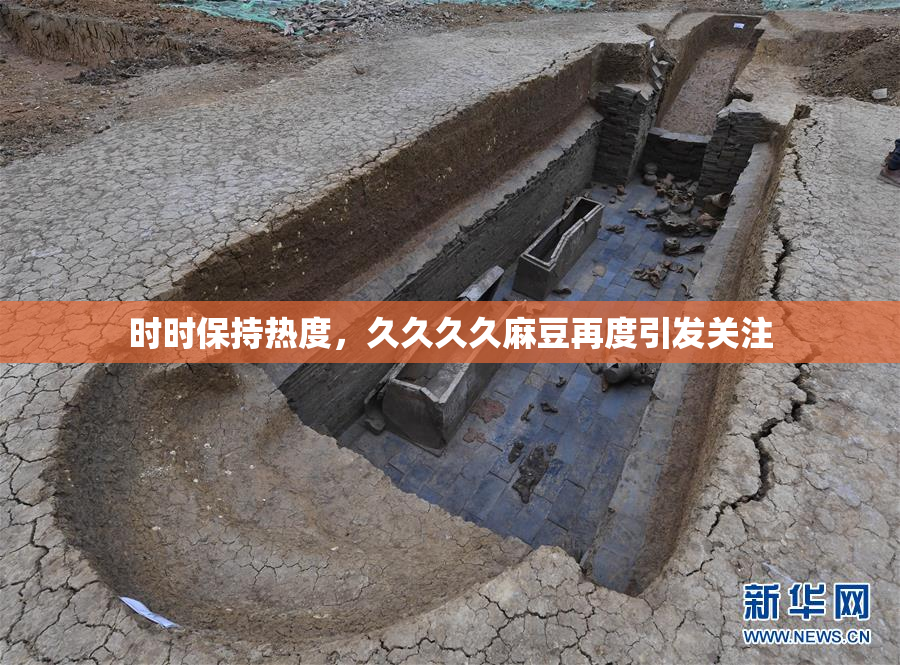 时时保持热度，久久久久麻豆再度引发关注