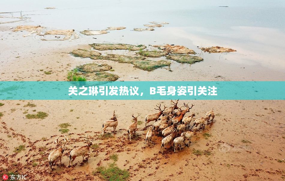 关之琳引发热议，B毛身姿引关注